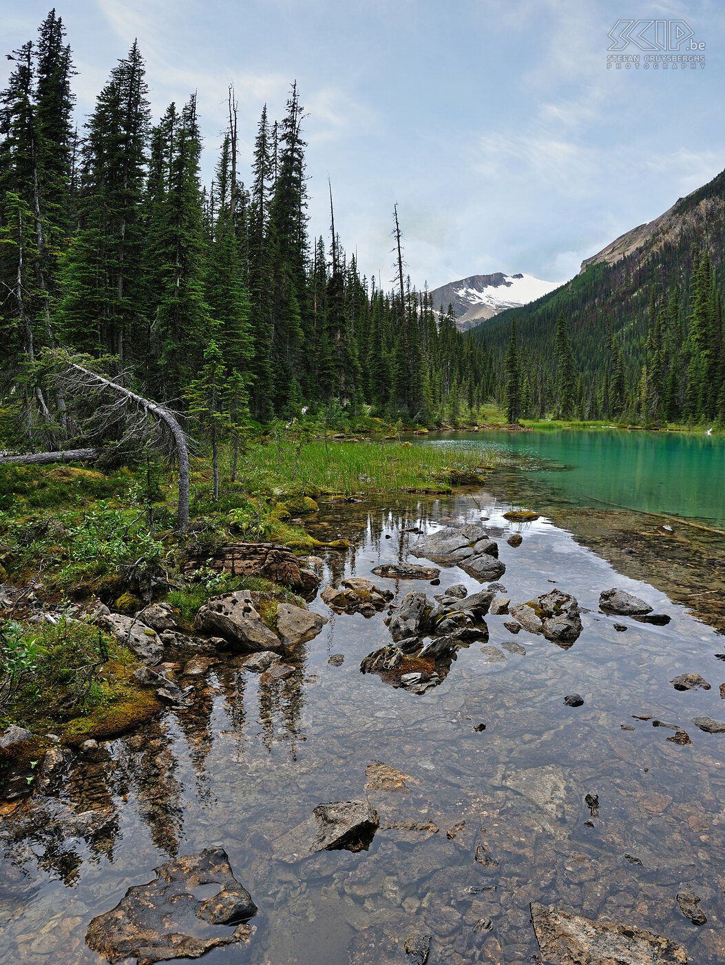 Yoho NP - Iceline Trail Tijdens de afdeling zagen we vele kleine azuurblauwe meren. Stefan Cruysberghs